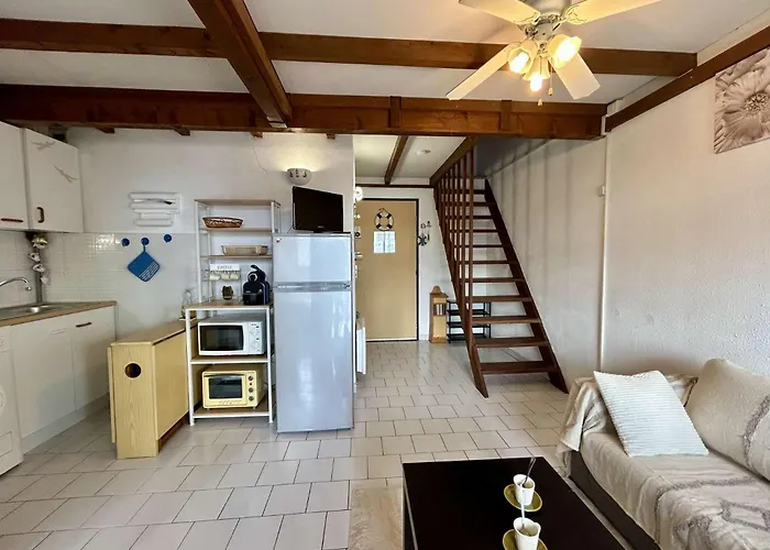 Lägenhet 2 Pieces Mezzanine 6 Couchages Cap D'agde Ct045-193 Agde